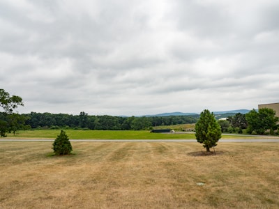 Field with Grass and Mountains