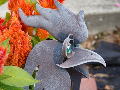 Rooster with Orange Flowers