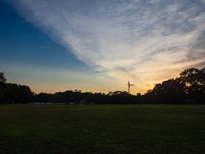 Sunset in Park - A grass field with trees during sunset 