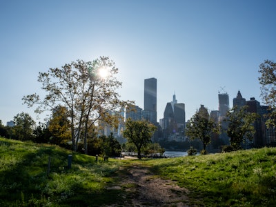 View of Manhattan from Roosevelt Island - A path in a grassy area with trees and a city in the background