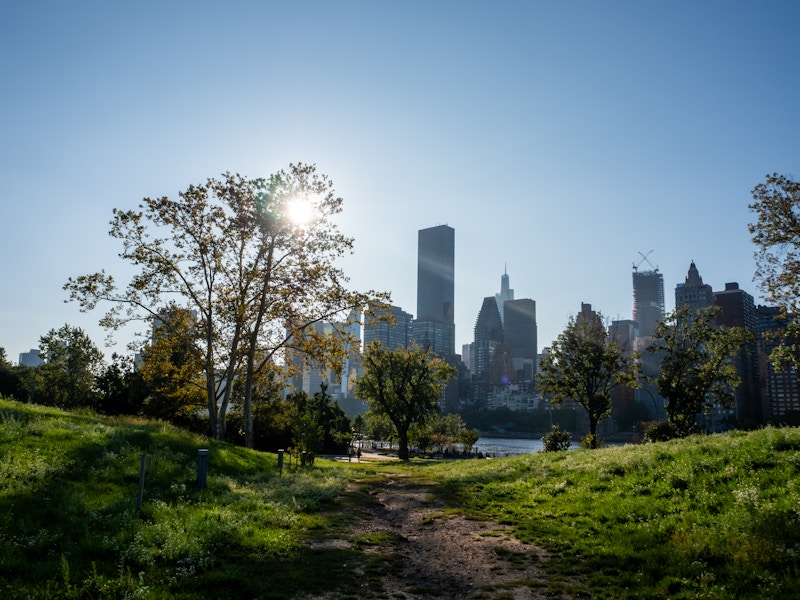 Photo: A path in a grassy area with trees and a city in the background