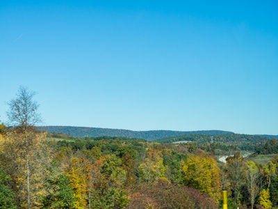 Landscape and Trees Under Blue Sky