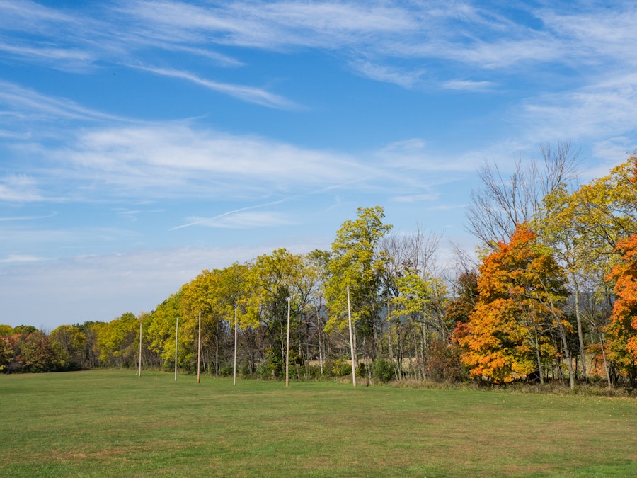 Photo: Field and Trees with Leaves Over Blue Sky