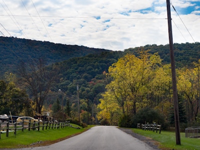 Road Under Trees with Leaves