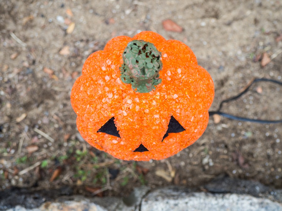 Photo: Halloween Jack O’ Lantern Light