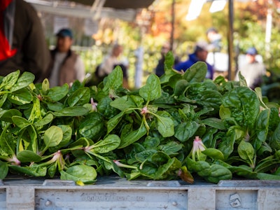Leafy Greens - A close up of leafy greens for sale at a farmers market with blurred people in the background