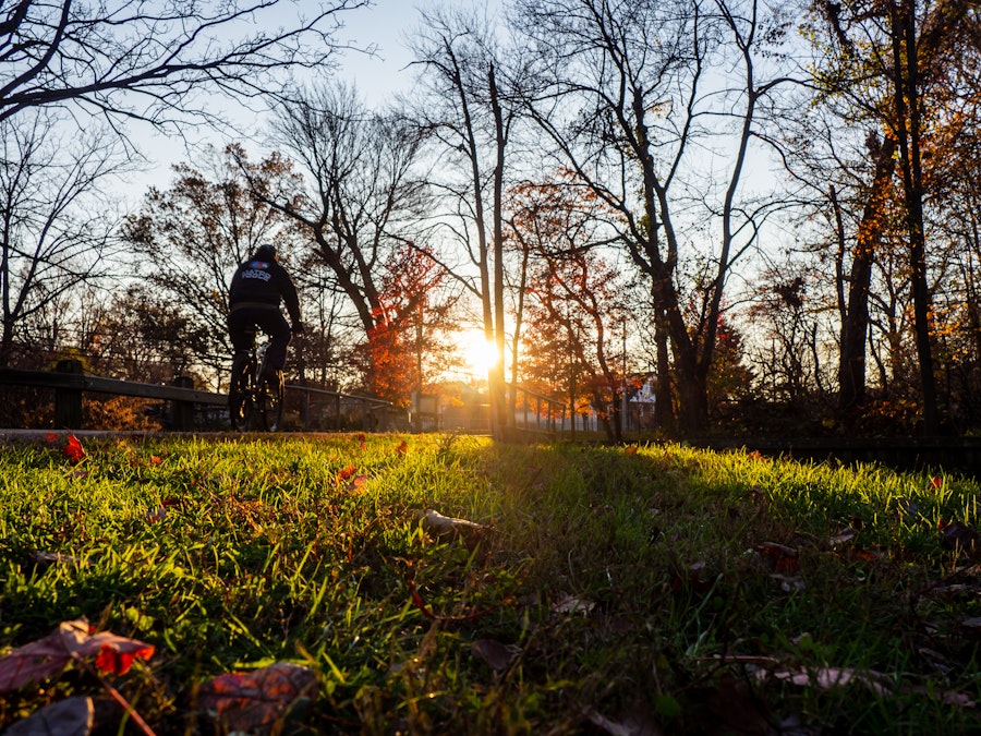 Photo: A person biking through a park with trees and the sun setting