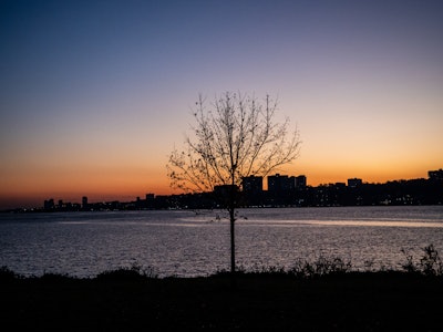 Tree Silhouetted in Sunset with River - A tree next to a body of water in sunset