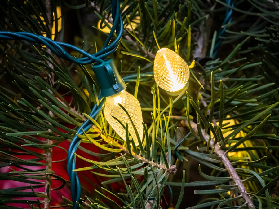Photo: A string of yellow lights on a Christmas tree