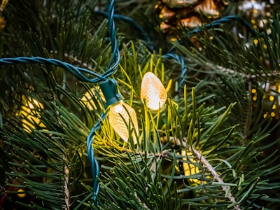 Yellow Lights on Christmas Tree - A close up of yellow lights on a Christmas tree