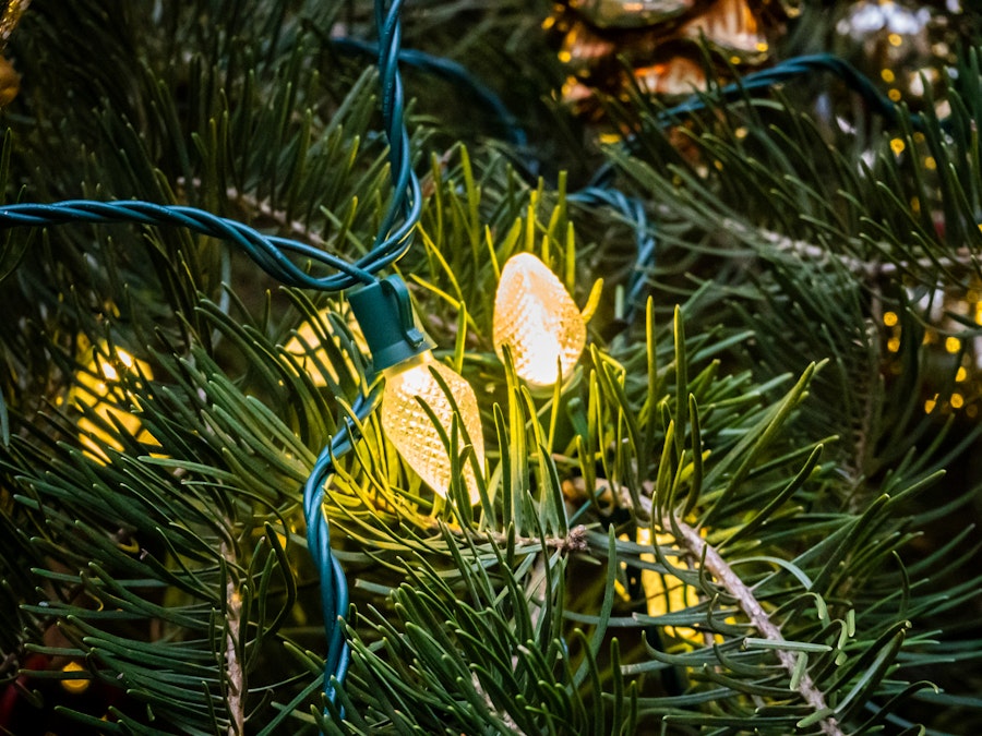 Photo: A close up of yellow lights on a Christmas tree