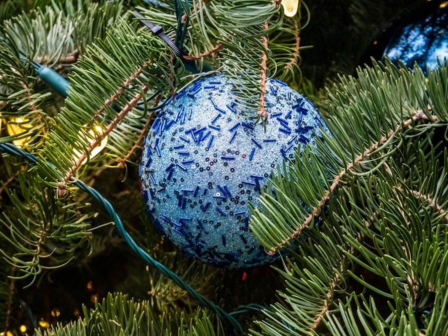 Photo: A blue ornament on a Christmas tree