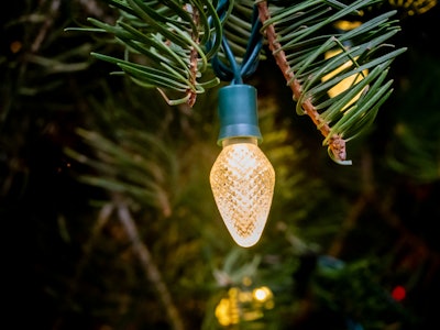 Lit Light Hanging from Christmas Tree - A close up of a light bulb on a Christmas tree