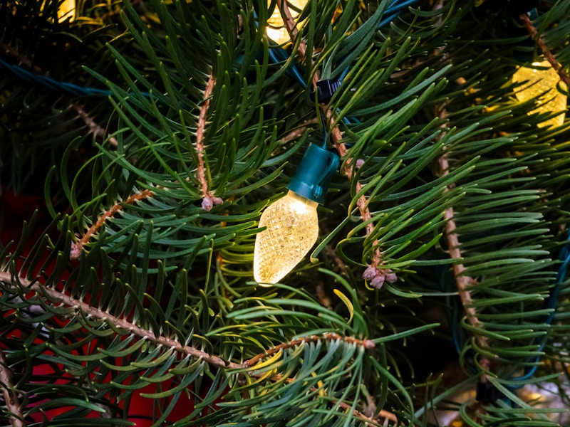 Photo: A Christmas tree with a light bulb
