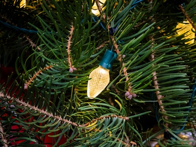 Lit Light on Christmas Tree - A Christmas tree with a light bulb