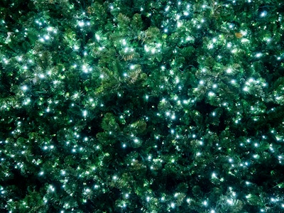 Lights on Christmas Tree - A green and black Christmas tree with white lights on it