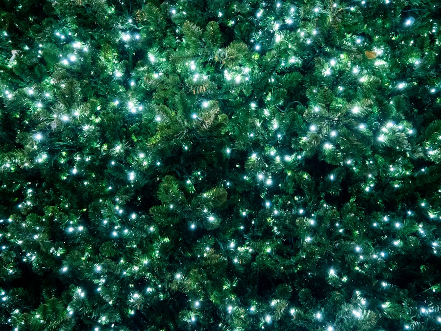 Photo: A green and black Christmas tree with white lights on it