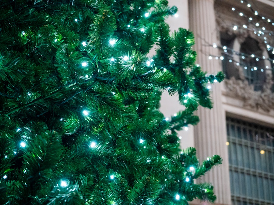Photo: A close up of a Christmas tree in a city