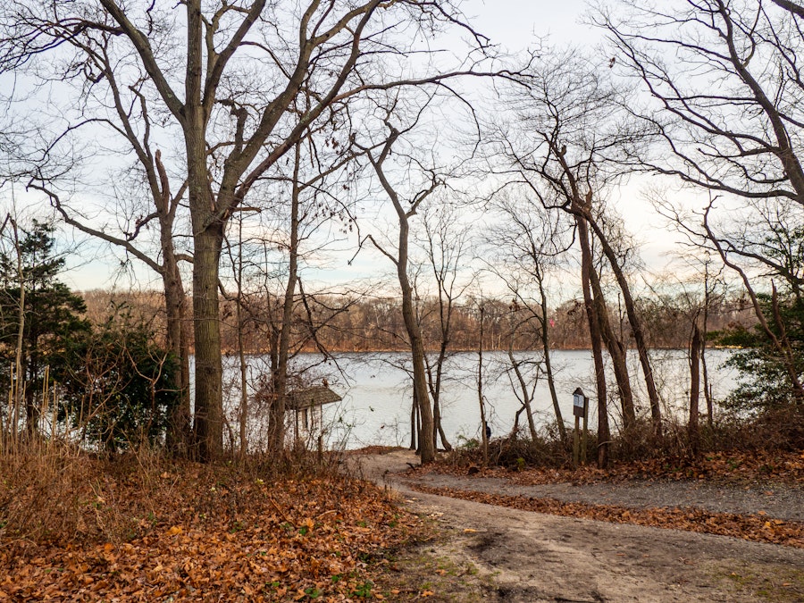 Photo: A path leading to a lake in a park