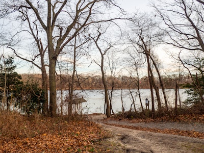 Lake in a Park - A path leading to a lake in a park