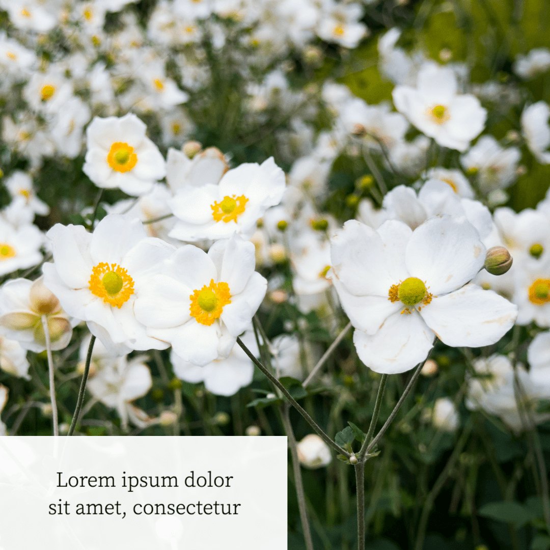 Design Template: Background Photo with Text